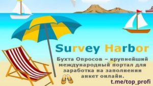 Подробнее о статье Survey Harbor