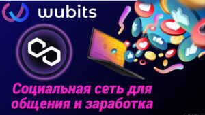 Подробнее о статье Wubits