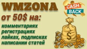 Подробнее о статье Wmzona